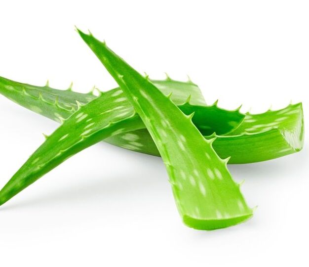 Aloe za liječenje papiloma