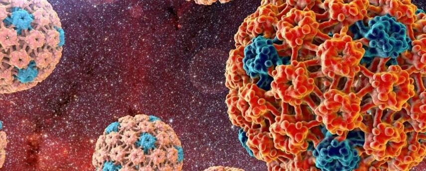Ljudski papiloma virus, koji uzrokuje pojavu neoplazmi na koži